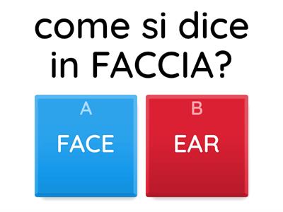 INGLESE, STARTERS,VESTITI E PARTI DEL CORPO
