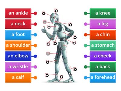 Gateway to the World B1. Unit 4. Part 1