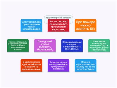 Окружающий мир