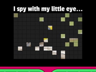 I spy with my little eye... (1)