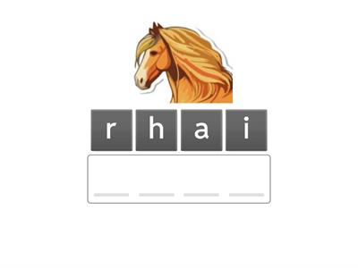 Term 2 Final Exam Key Vocabulary Words_MATCHING