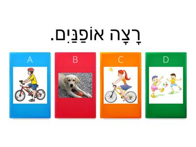 משפטים בחולם