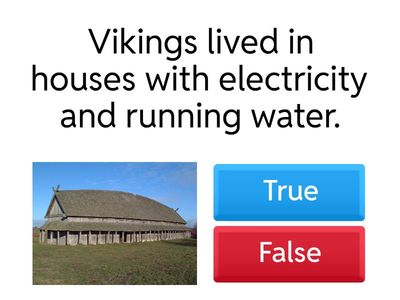 Viking Life