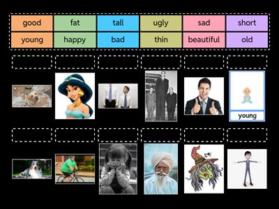 имена прилагательные