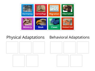 Adaptations