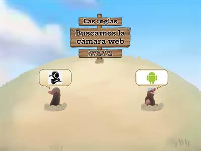 Buscamos la cámara web 