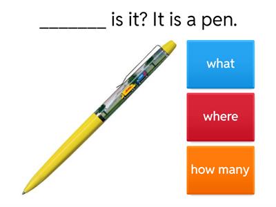  What/ Where/How many