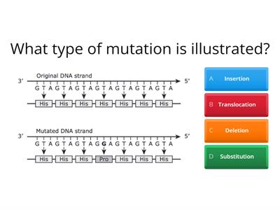 Identifying Mutations Practice