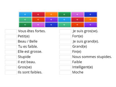 CM2 - Les adjectifs en anglais à l'oral