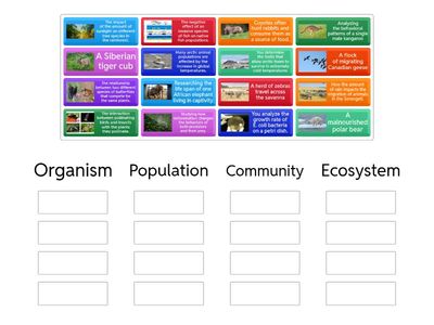Ecosystem - Levels of Organization