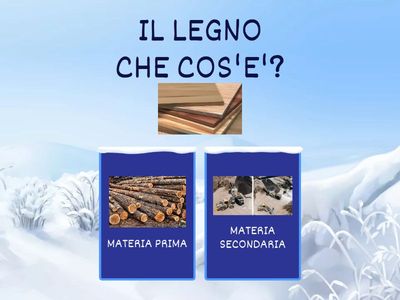 VERIFICA DI TECNOLOGIA: LEGNO E CARTA