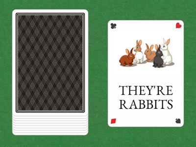 They're... - Animals - 2nd Grade