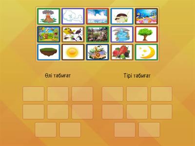 Траннимен порно