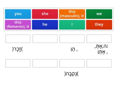 עברית- שמות גוף