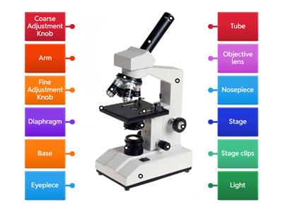Labeling a Microscope
