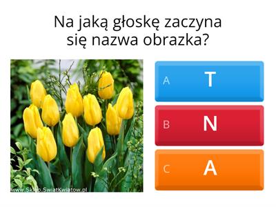 Na jaką głoskę zaczynają się wyrazy?- SŁUCH FONEMATYCZNY