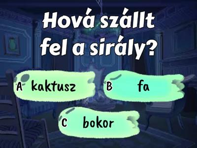 Ki lesz a király?