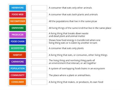 ECOSYSTEM SCIENCE GLOSSARY MATCH UP