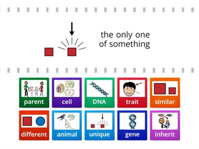 ULS Unit 29 May 2023 Vocabulary