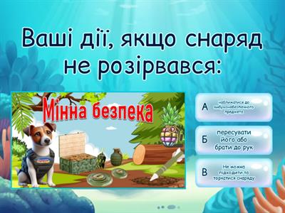 Мінна безпека 