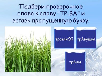 Безударные гласные в корне