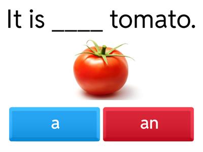 a, an, singular, plural