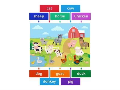 Farm animals 