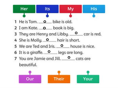   Possessive adjectives 2