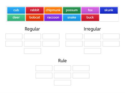 BLS Concept 91 Analyze spelling