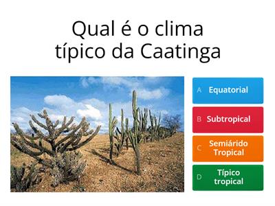 Jogo clima e vegetação