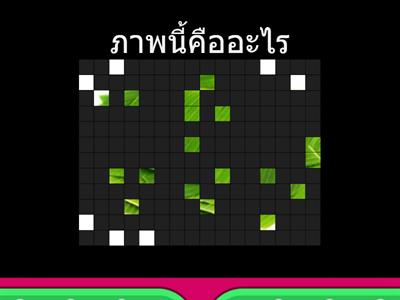 เกมทายภาพชุด "ลอยกระทง"