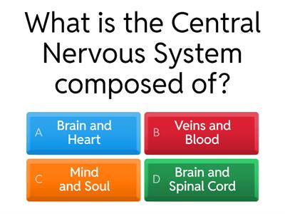 The Nervous System