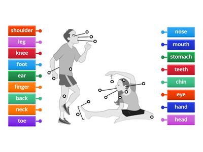 Parts of the Body