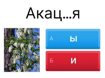 Буквы и/ы после ц