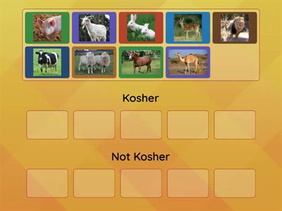 EYFS Kosher Animals