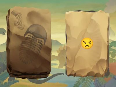 кери байланыс 