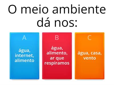 Meio Ambiente 