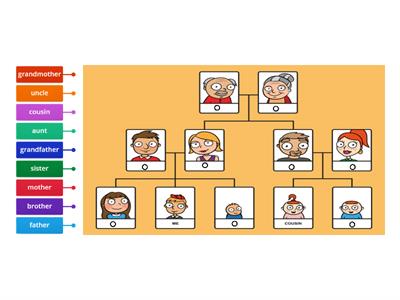 Family tree Beginners 1