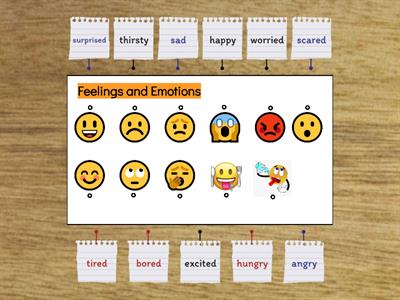 FEELINGS AND EMOTIONS - diagram