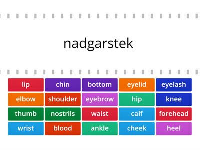 Parts of the Body - quiz