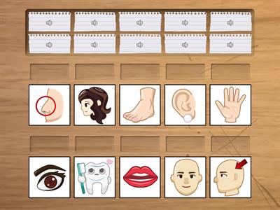 聽力測驗-看圖示字-1身體部位-郡群初級認證-