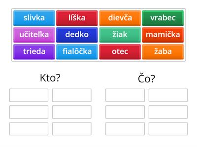 Szlovák- Kto? Čo?
