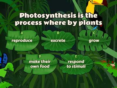 Photosynthesis