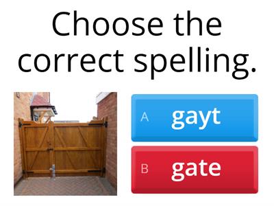 L1B L103 CHOOSE THE CORRECT SPELLING