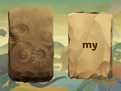 Into Reading Module 2 Week 1