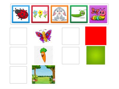 IL BRUCO E LA FARFALLA