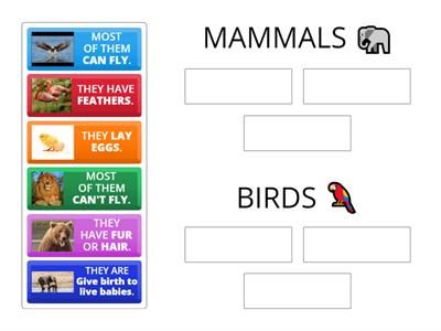 2nd grade Mammals X Birds