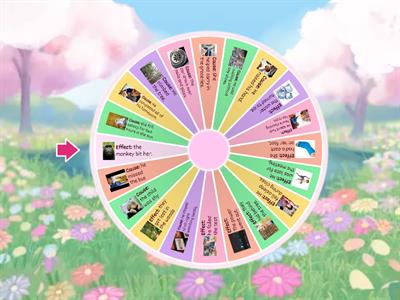 Cause and Effect Spinner