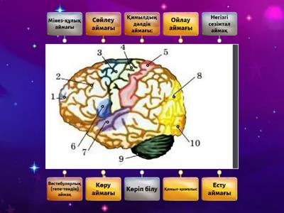 алтын Клара Дэнни Д