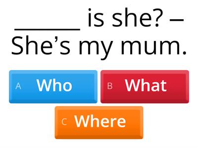 Who, what, where, how many